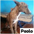 Update 23juli24 - Paolo (1)